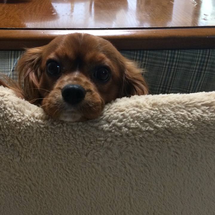 38d0af76 048b 4915 82cb 085b86ee9a96 1518215514805