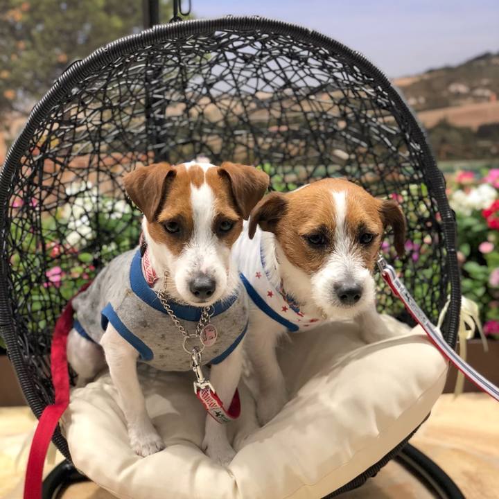 38d0cbbe 0dac 4305 b740 4d3a4a9fdbc1 1522668805142