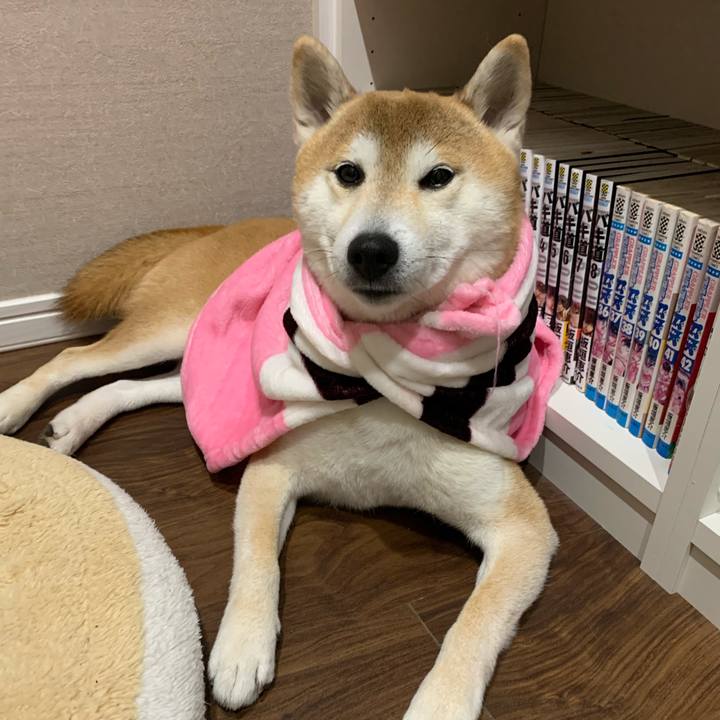 38d119e7 a33a 453b 9ad0 b36684eb14a7 1616588315595