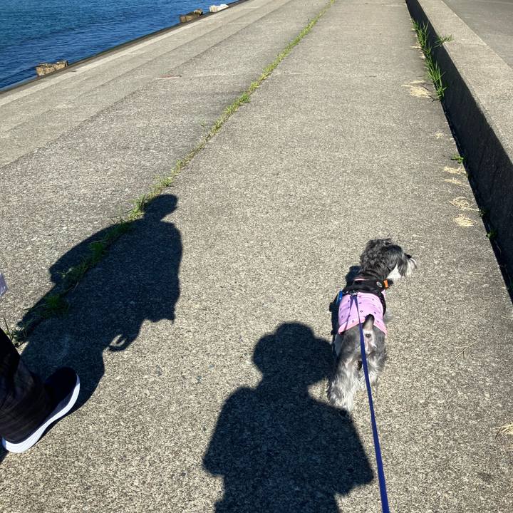 38d166ab 44b9 47f0 8978 f885e0b43105 1729000462542