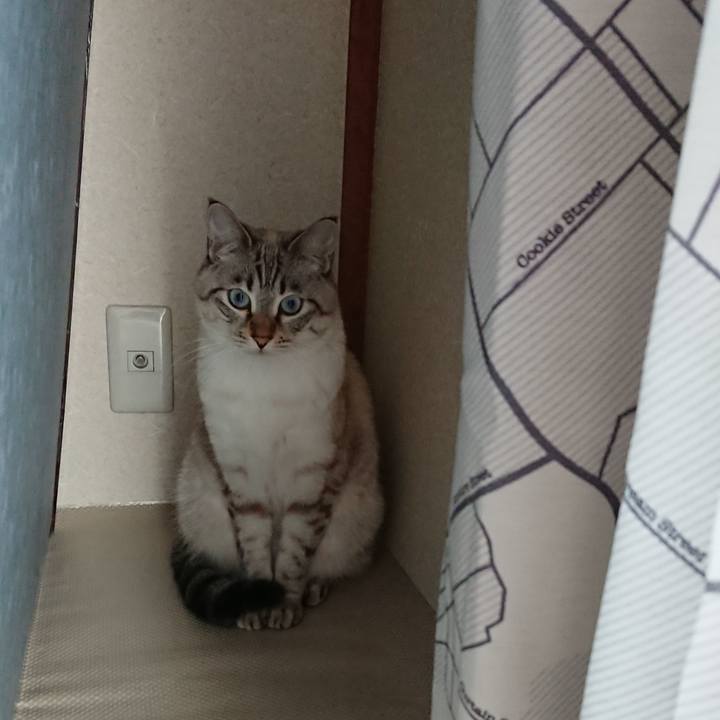 38d1a0f8 c0ea 4075 b742 7a934887c392 1511745442953