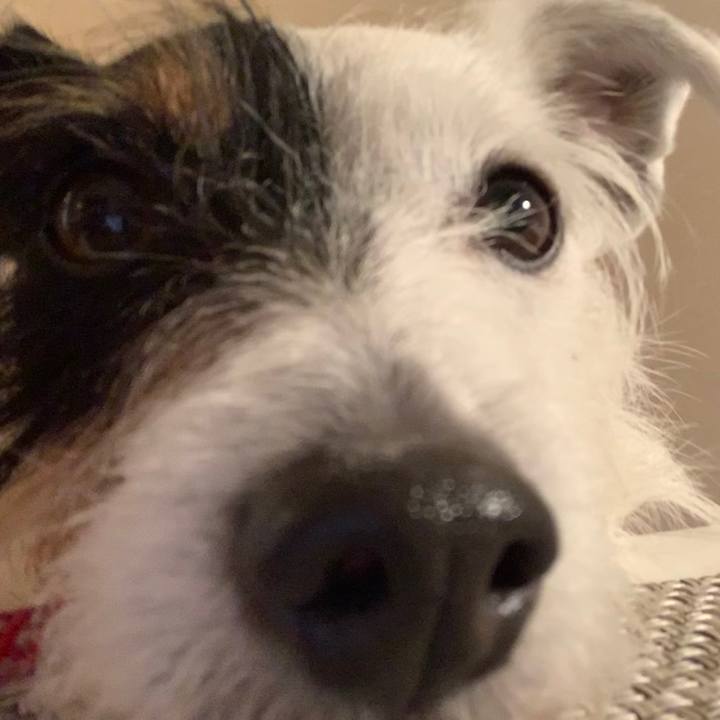 38d1a6b6 60a7 44a2 a2cd ce4b439b825d 1586774260900