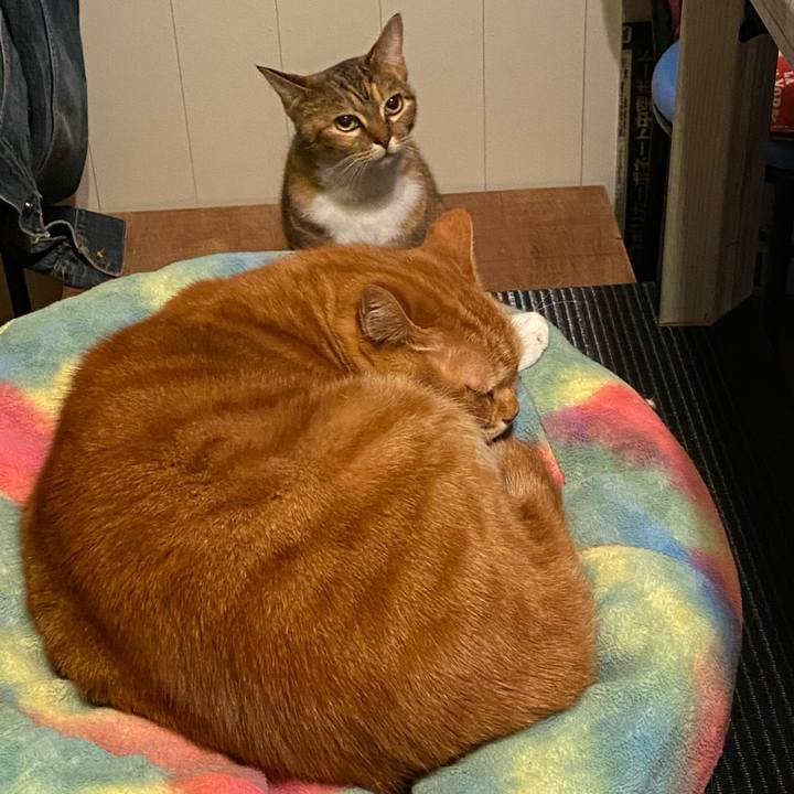 38d1cfe4 b181 4bcc a230 b3f06752f551 1576312443395