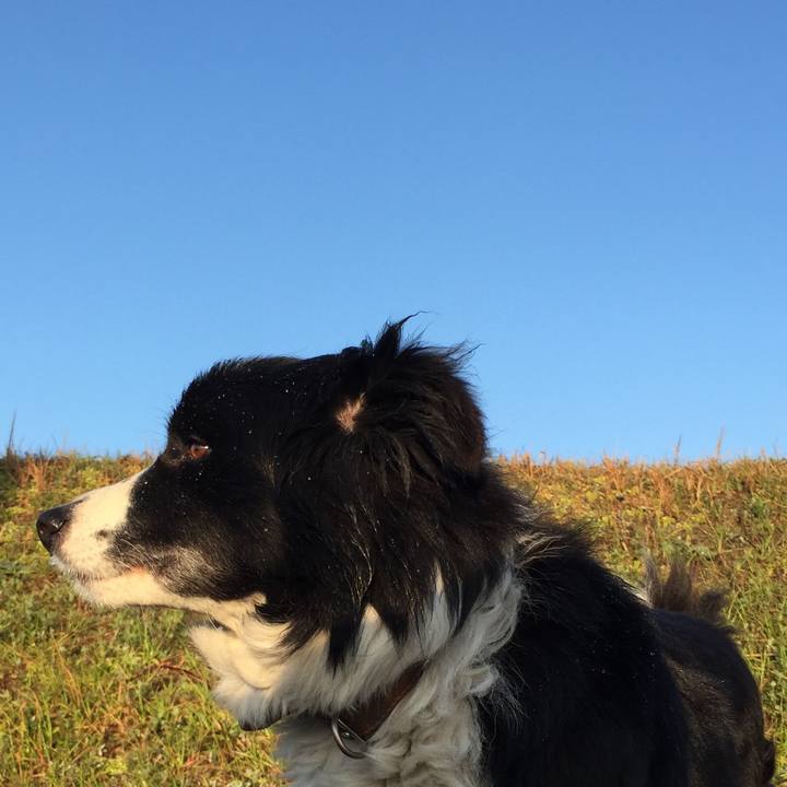 38d1d9e7 aac9 4cf2 bc57 5db81a491dce 1520116727468