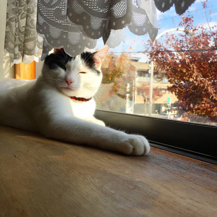 38d1f64c 7eb0 45c3 90d0 d0a6ec4fa66b 1511322212906