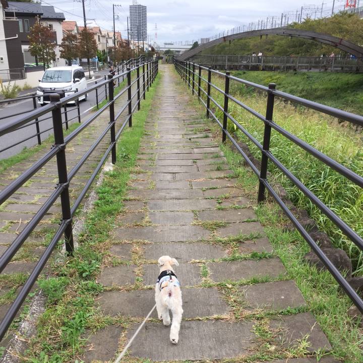 38d24664 0ec0 4387 bc97 d79875a13e35 1538977920065