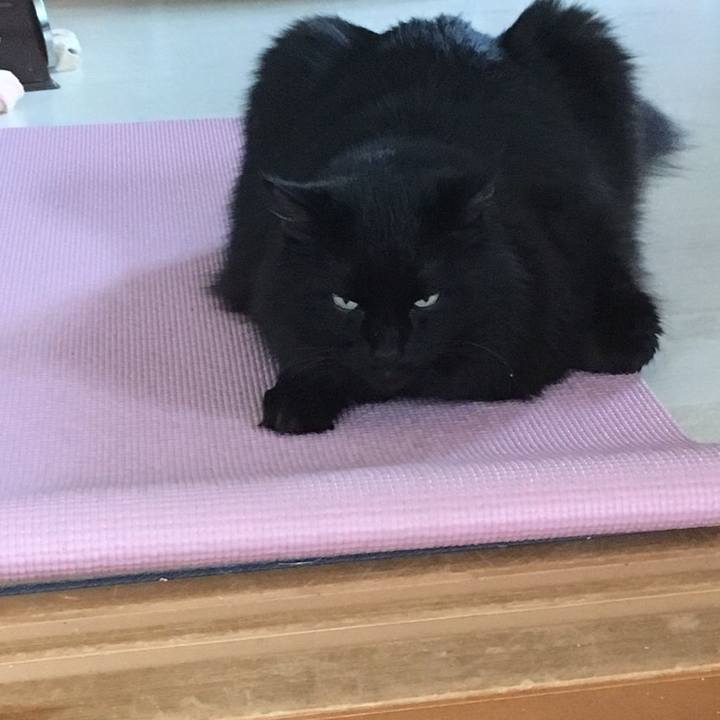 38d2584f 8618 46cf 86fe b0008ab95277 1541980540673