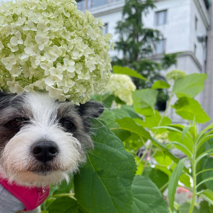 38d26733 af73 49f4 baaf fb82d6a28715 1717068369080