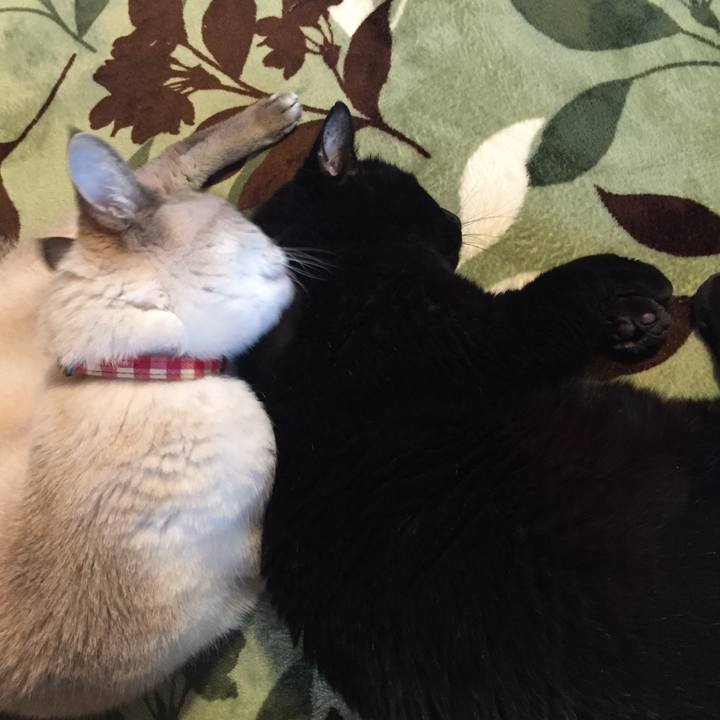 38d2a3c2 de5a 4879 b932 a2cc053c8263 1582409753515