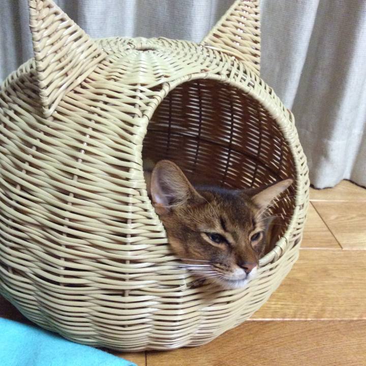 38d2b5e5 cff3 4595 8a5d 62ff79e4eecc 1602758953528