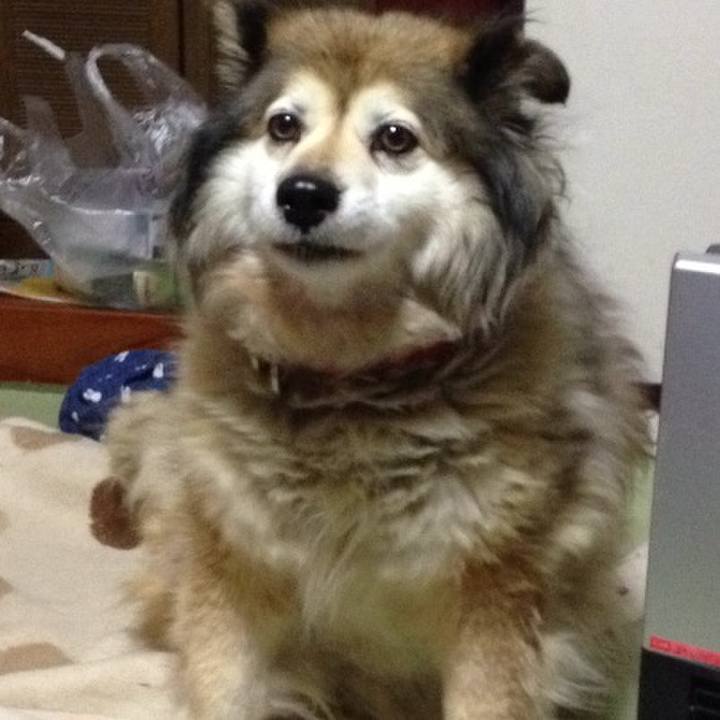 38d2c028 3277 41aa ac5b f9f92bd9c7dd 1551344991953