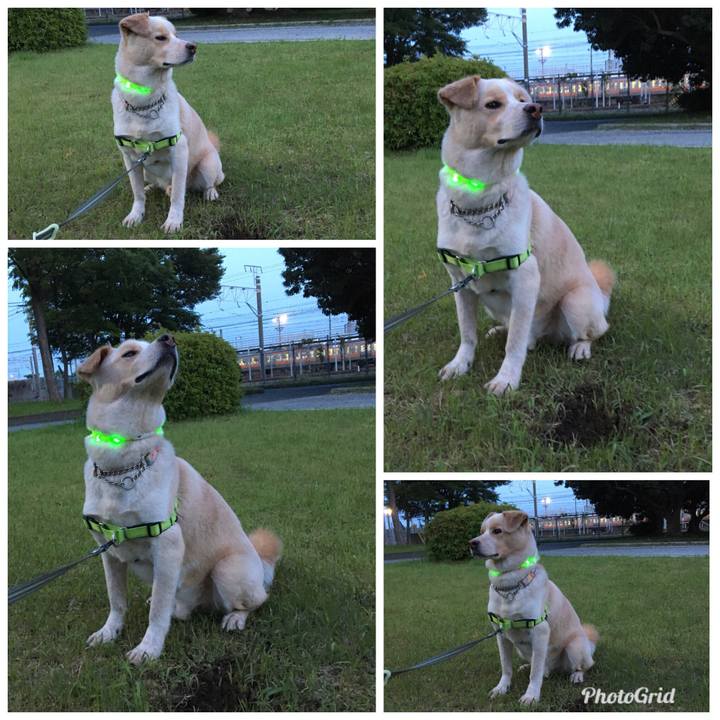 38d2eac2 de99 457b 9287 fa1ad4f2c7f7 1526387150616