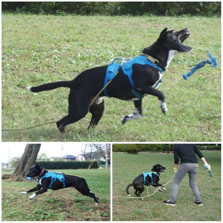 38d30834 0f1d 4932 9701 d744705faed8 1634258113586