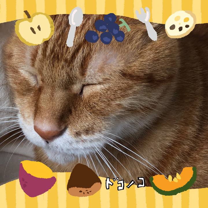 38d30a45 64b6 48f0 af96 1baa805a24fd 1727213569249