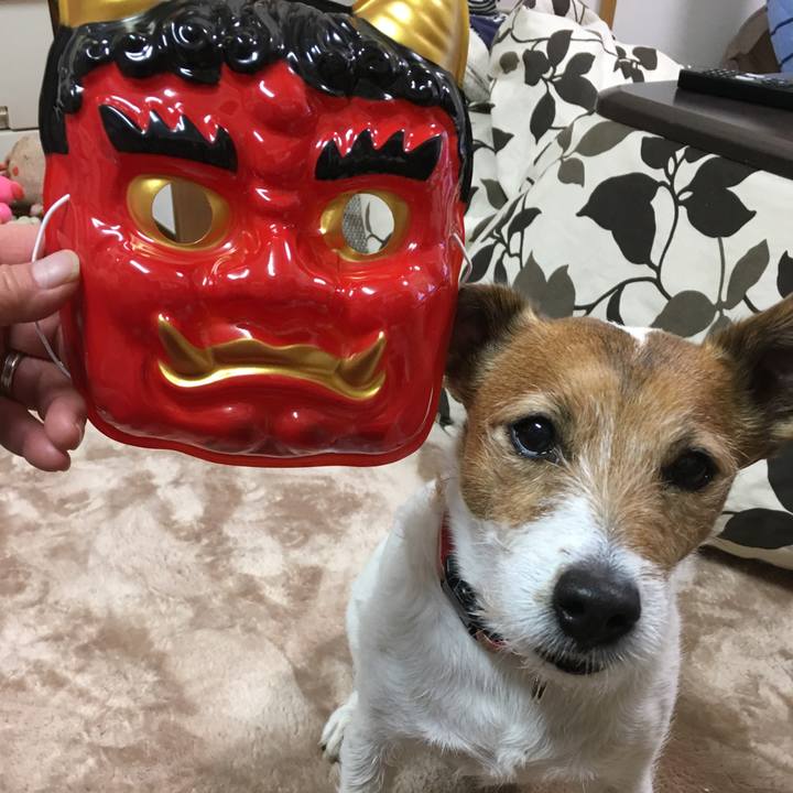 38d343d5 73bf 4f3c 8c41 76dabed29b6a 1517645372112