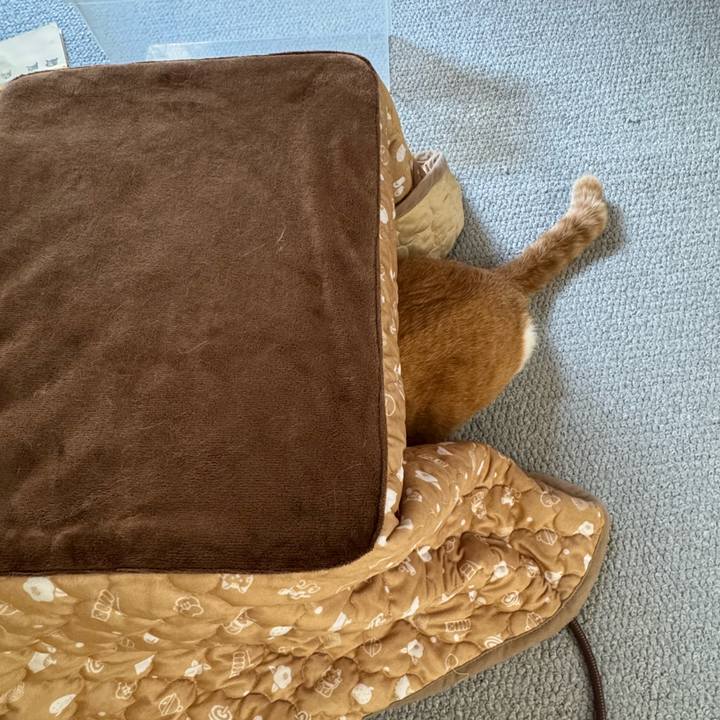 38d34850 8663 4e6b 94cb 71ba1c98af77 1768637937225