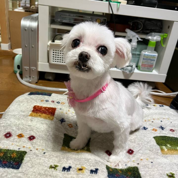 38d34895 dadb 40ec 9b4b ac5384638e6d 1726523092735