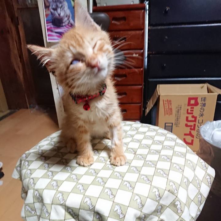 38d38a4b 387f 42f0 aa47 ba73ac513ef8 1628022823909