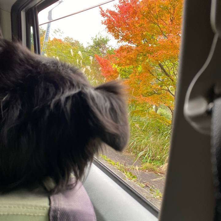 38d39671 da6c 4439 a24c d7643854c466 1635745490792