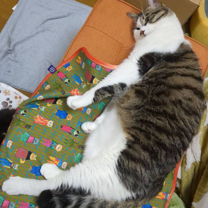 38d3c110 d526 4c3e b97d 0c14aff8bc42 1685448921657