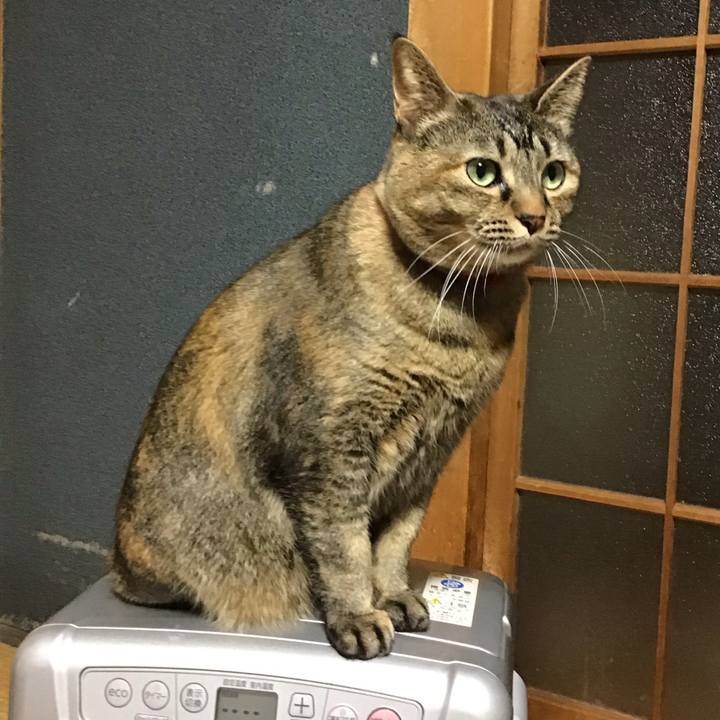 38d3d2de 28c3 486f 8f22 94ed4d9ac244 1705312053660