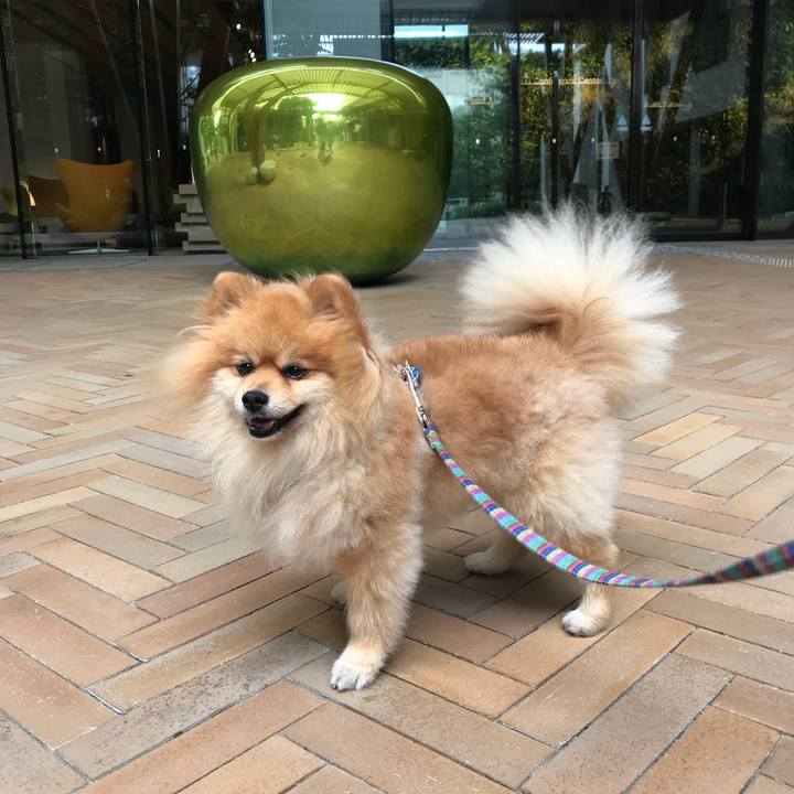 38d3d990 4ca9 43b9 8197 2507158fc487 1530970528234