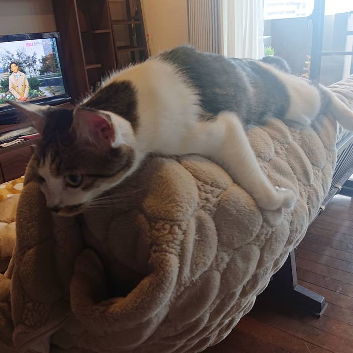 38d3dfaf c0f6 45b0 83b2 43584e403b61 1637538124458