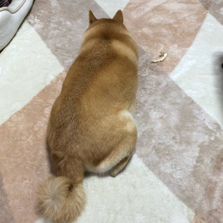 38d3f9e3 63a8 41a0 9c80 60ad808a2baa 1548139401739