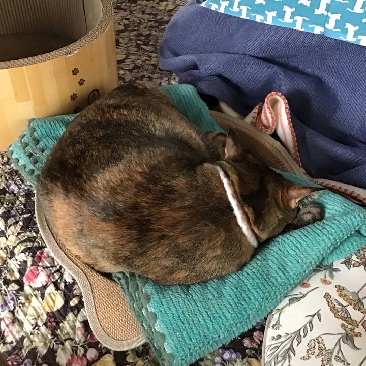 38d413f8 67a3 488f bdc3 49a1ec452890 1746787362741