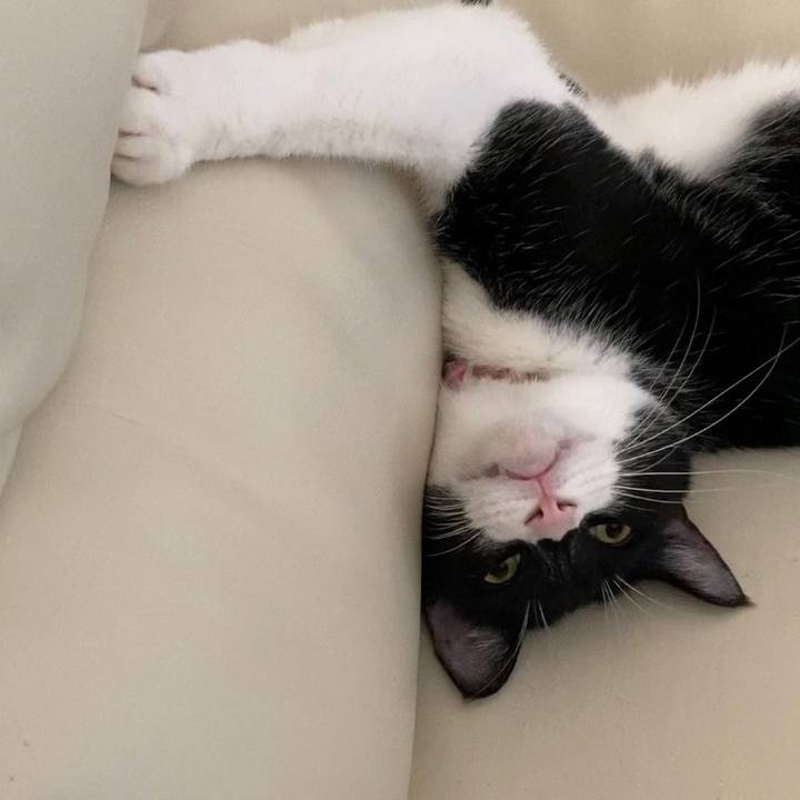 38d419ca 3542 433a ae74 f7e0992ab942 1655895830079