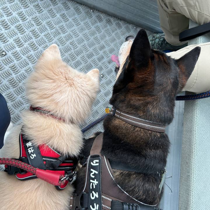 38d4247c 0430 4b05 b070 eefc2016f197 1760360324165