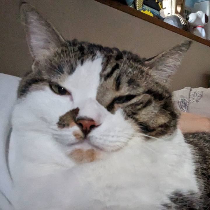 38d447fa 40fb 4003 a335 f886530ce70e 1696049425990