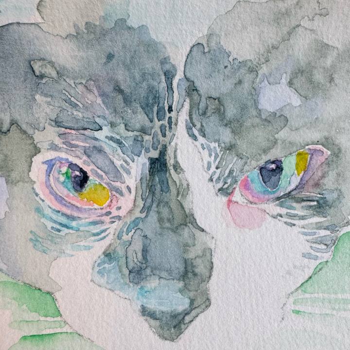 38d4490d 038c 4962 ac2d 5592153b92be 1771395725114