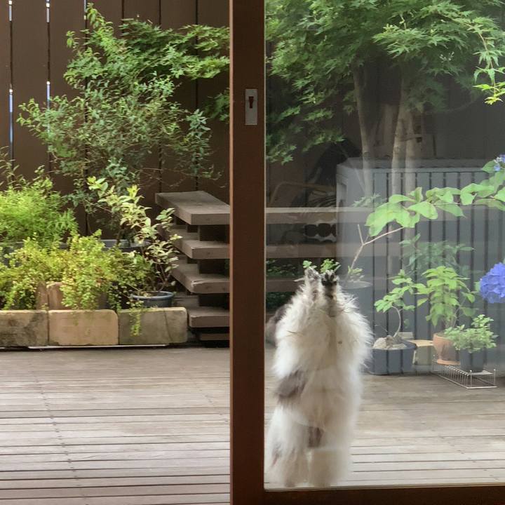 38d4685e ff1c 4693 9a1a 1dfac7005909 1623455323240