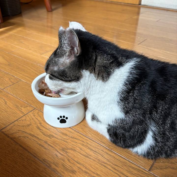 38d4aa7a aebc 4d07 9d17 31d754c44bbf 1757927699795