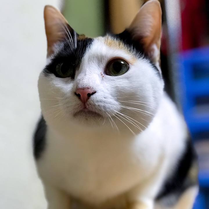 38d4aaf6 8c97 46f8 ba31 41c997ee1a2c 1509877417521