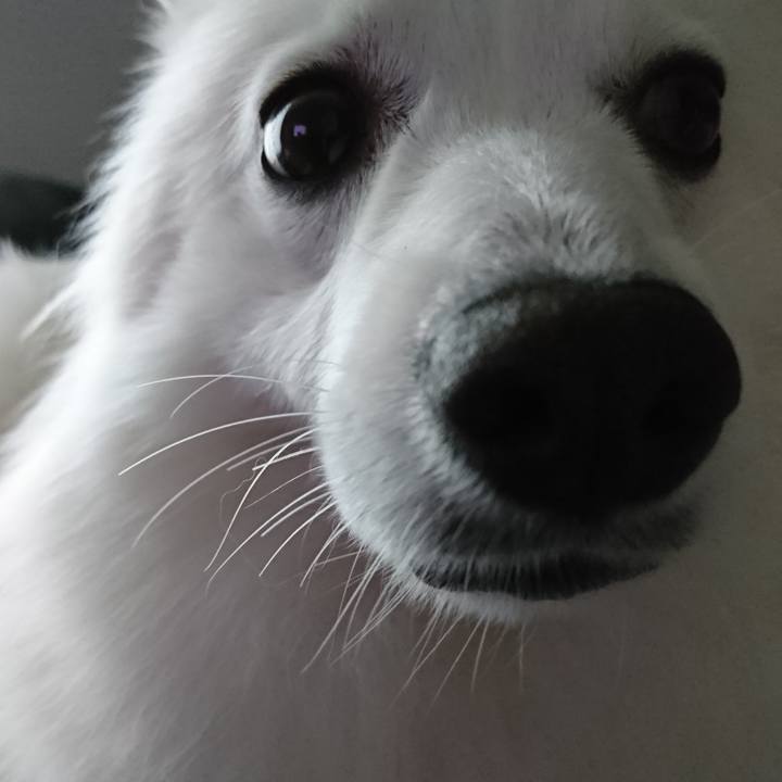 38d4f085 b2d6 4d11 ab14 9e34a498d4b1 1528868043040