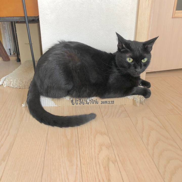 38d5da7d 6078 4585 a5d6 2607a7817f62 1561162655838