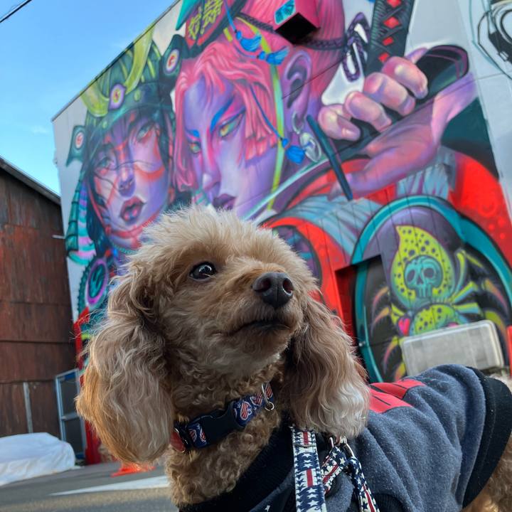 38d5e18f ddf9 4d69 b00e 86197dfa3da2 1667766604074