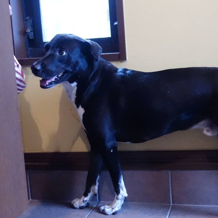 38d5f5f9 7c54 45e4 8c2c f43d68c73a63 1598829881429