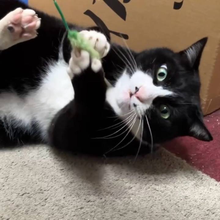 38d61ee1 9906 483e b24f c87af851822b 1741226993709