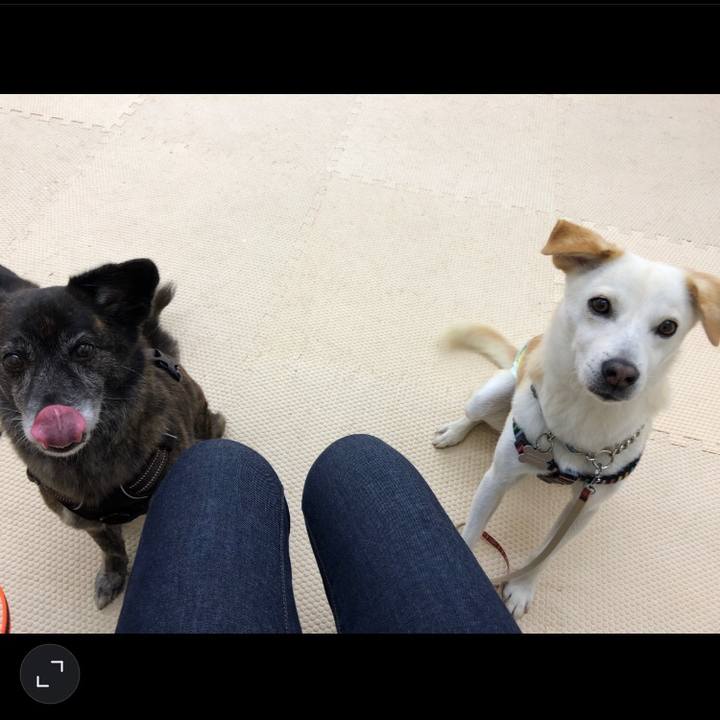 38d636ba 5c08 4b3c 9964 68fdae38f0e1 1623714960628