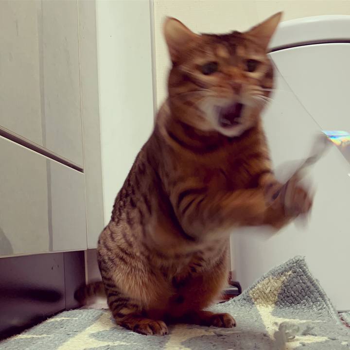 38d6601d e5b9 4fdf 8161 29810b25d90d 1637018041836