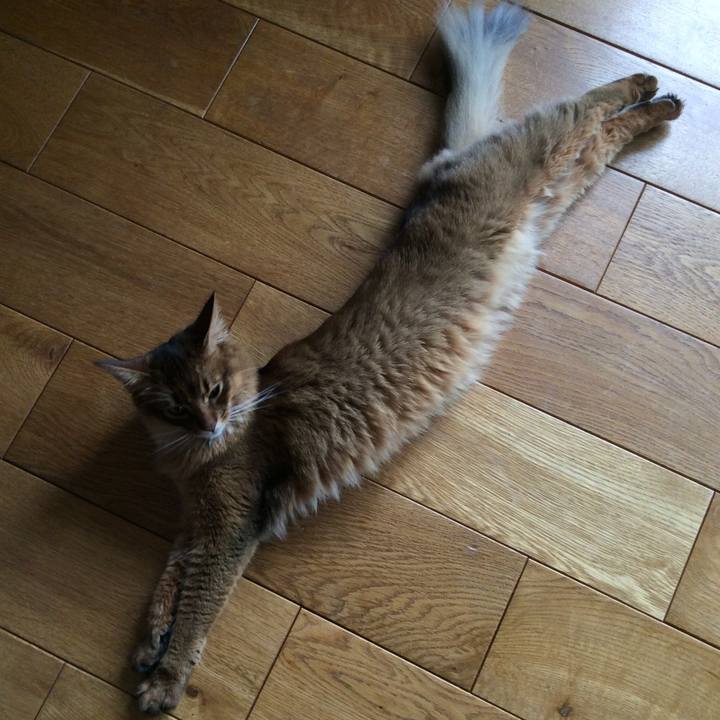 38d67f52 9a8a 426e 9794 10374294e4f1 1592277803418