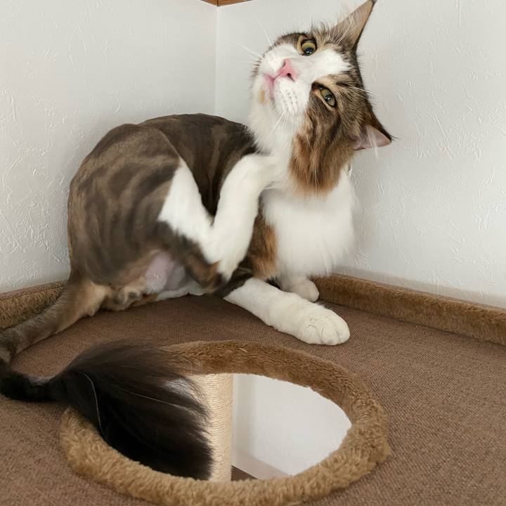 38d6dddd c5c2 4781 899d 448cc67de0c5 1658956083011