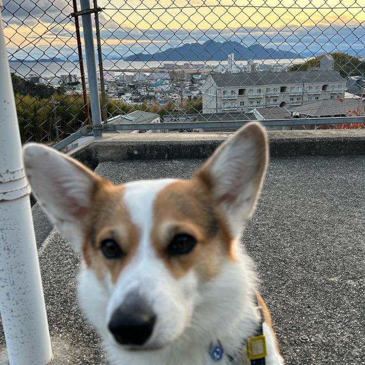 38d6e392 ddc2 40f5 aa32 16f34d76065c 1768909998298