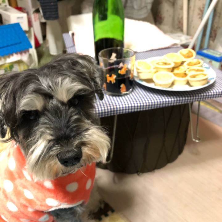 38d6e79e 77ea 4a0e a6b0 f9cffddb816c 1648821489178