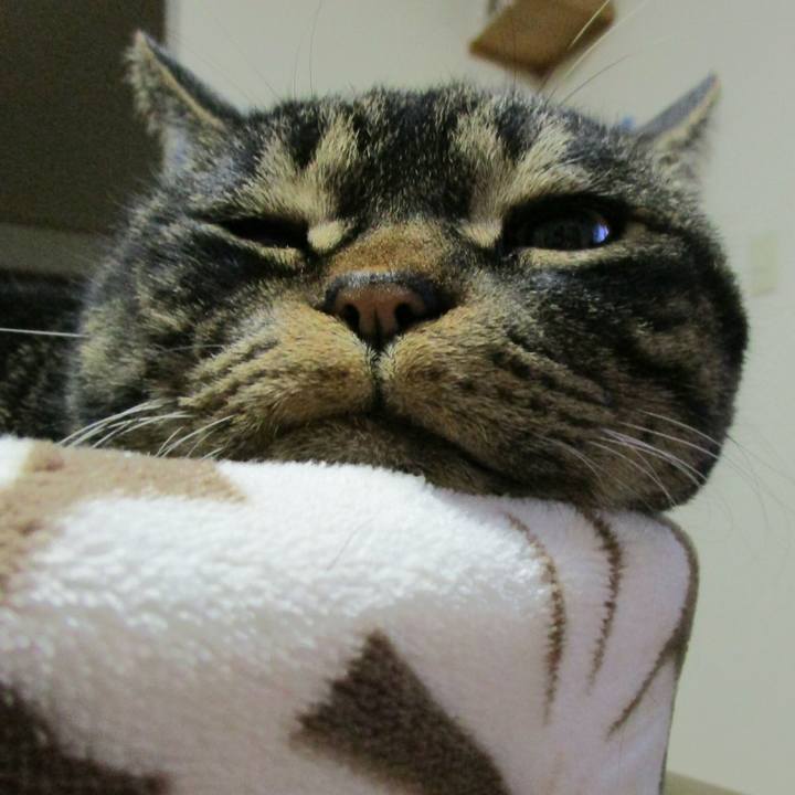 38d6f765 d76c 41bb b046 a8c859984379 1517844179667