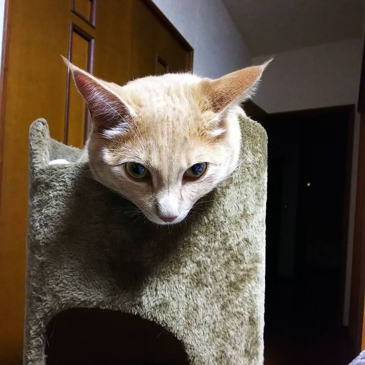 38d6f869 7abd 4be0 89ab 3b8745830aa2 1562764772873