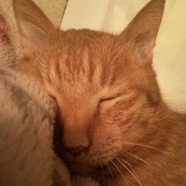 38d71afd add9 46e3 b0ad 5d353f8b5b58 1679517342551